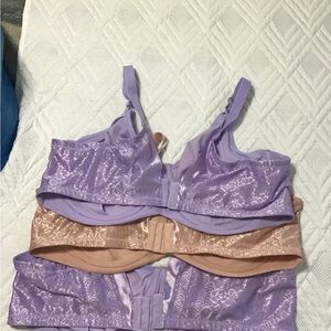 3 Breezies Beas size 44DD